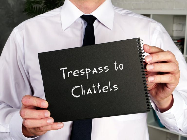 Navigating the Legal System for Trespass to Chattels Cases