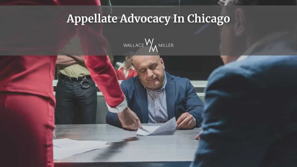 Appellate Advocacy In Chicago