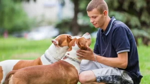 Legal Responsibilities Of Animal Owners To Prevent Attacks